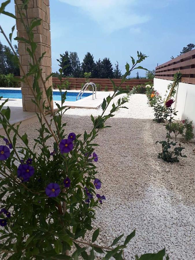 Olivia Villa 63 Paphos Kültér fotó